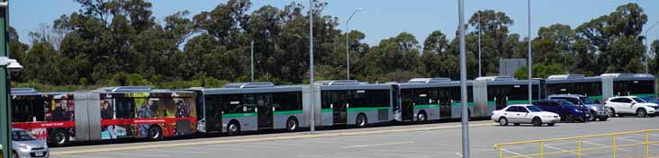 Transperth Volvo B12BLEA Volgren CR228L 3006 3008 & 3015